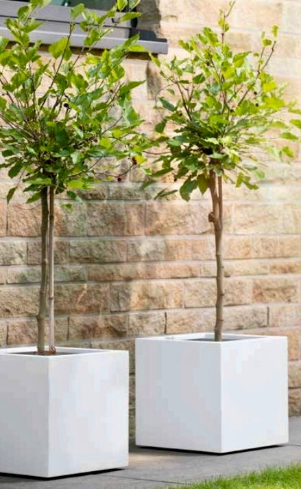 ALICANTE Planter