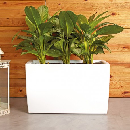 Lechuza Cararo Rectangular Indoor Planter with Casters